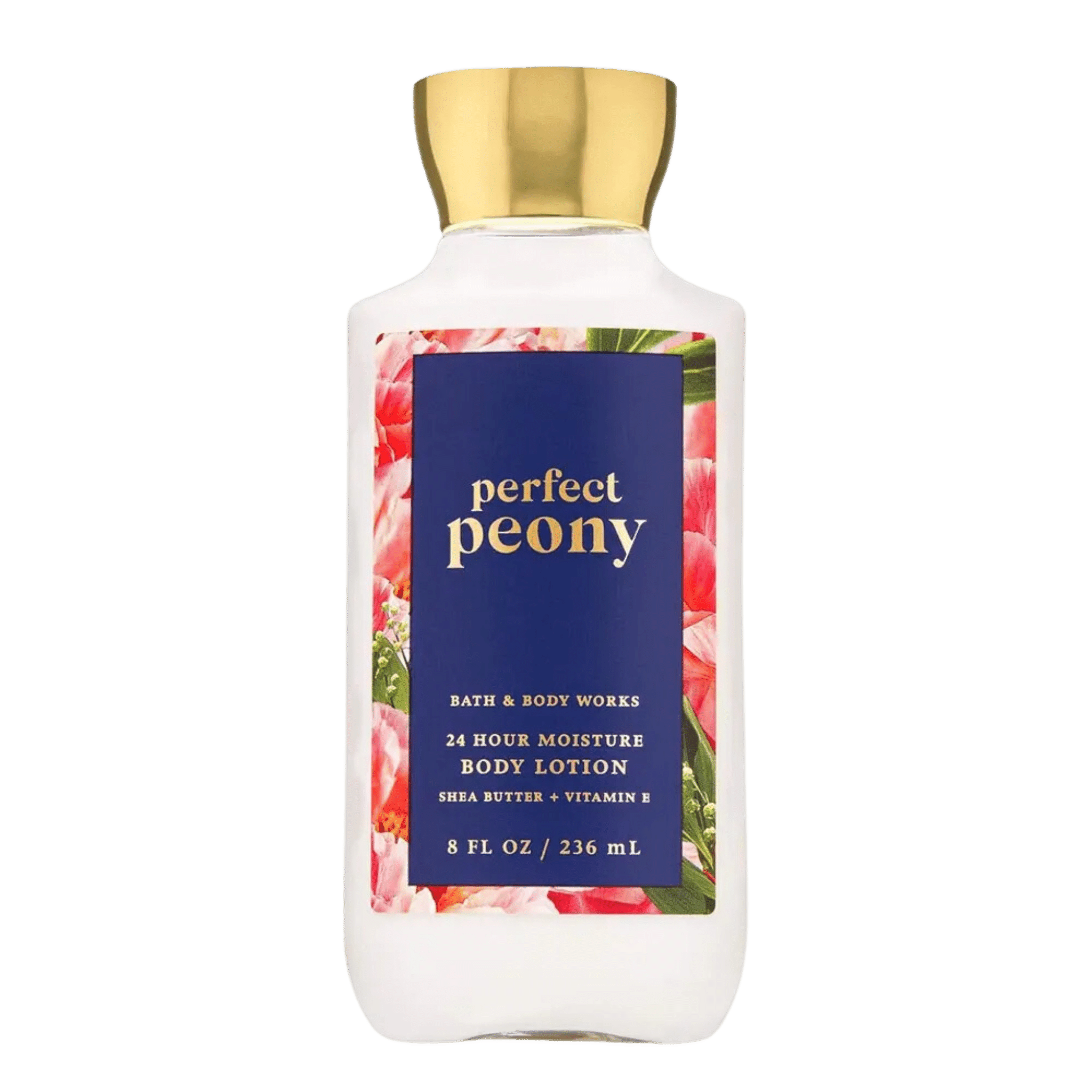 Bath & Body Works 24 Hour Moisture Body Lotion (236ml)