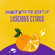 Aussie Miracle Curls Shampoo 360ml with Coconut & Jojoba Oil for frizz control and hydration in Pakistan